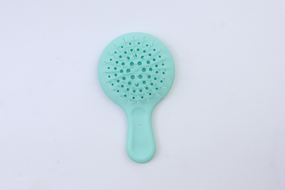 Mini Hairbrush